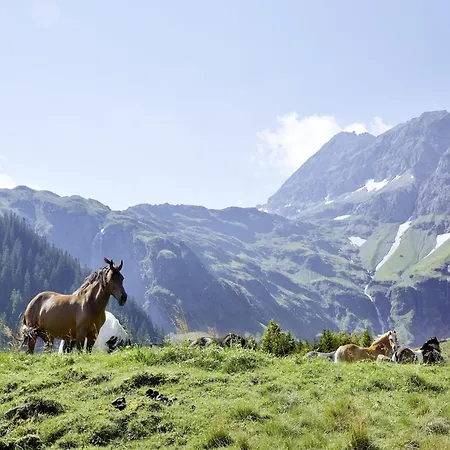 Near Kitzski Slopes